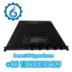 4351B TRICONEX - Image 3